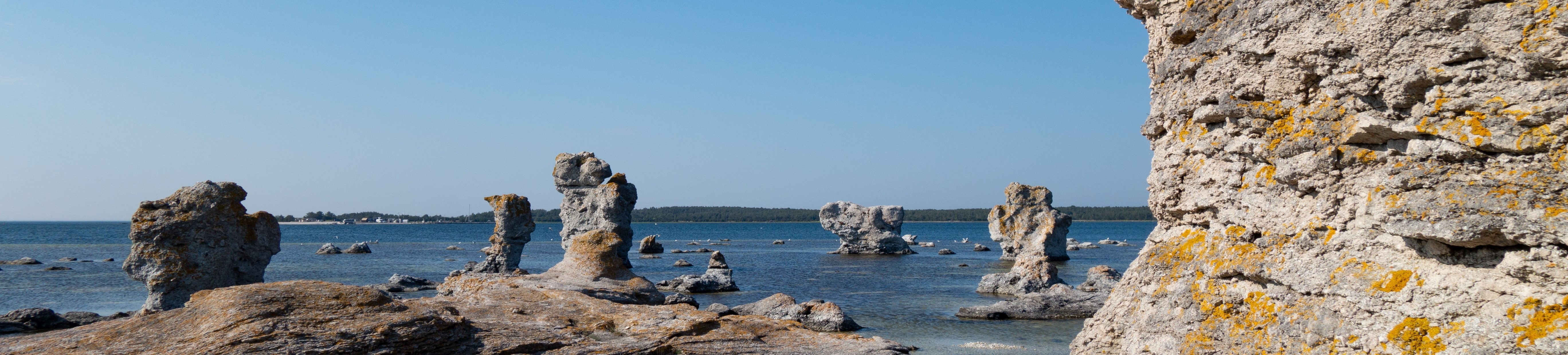 Gotland - Naturvandringer i august, Fossiler, rauker og fantastiske naturscenerier